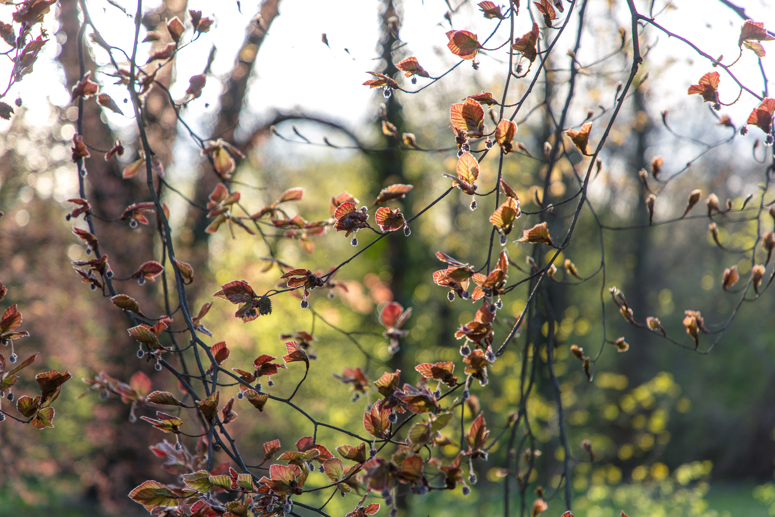 20180414190607 DP014959